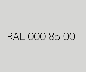 Renk RAL 000 85 00 
