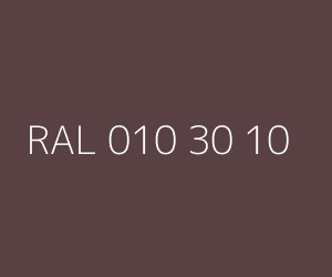 Renk RAL 010 30 10 