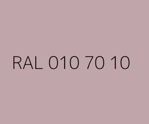 Renk RAL 010 70 10 