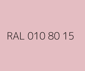 Renk RAL 010 80 15 