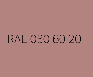 Renk RAL 030 60 20 