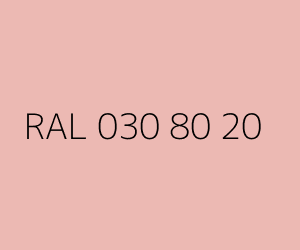 Renk RAL 030 80 20 