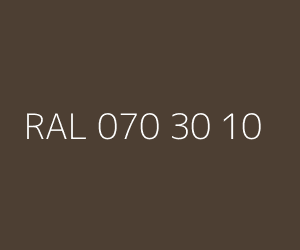 Renk RAL 070 30 10 