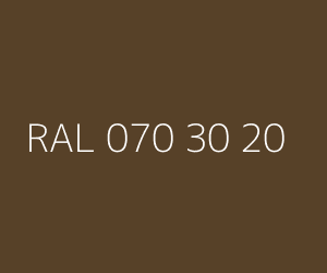 Renk RAL 070 30 20 