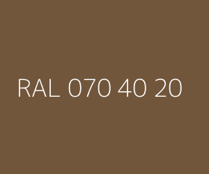 Renk RAL 070 40 20 