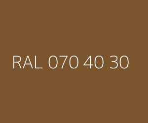 Renk RAL 070 40 30 