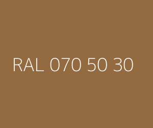 Renk RAL 070 50 30 