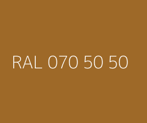 Renk RAL 070 50 50 