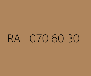 Renk RAL 070 60 30 