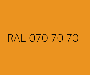 Renk RAL 070 70 70 