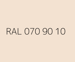 Renk RAL 070 90 10 