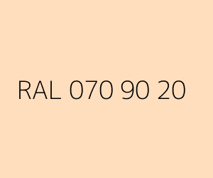 Renk RAL 070 90 20 