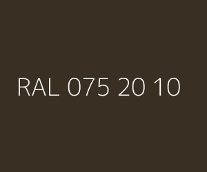 Renk RAL 075 20 10 