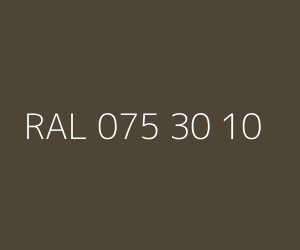 Renk RAL 075 30 10 