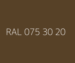 Renk RAL 075 30 20 