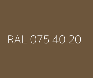 Renk RAL 075 40 20 
