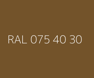 Renk RAL 075 40 30 