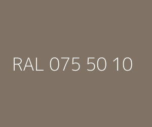 Renk RAL 075 50 10 