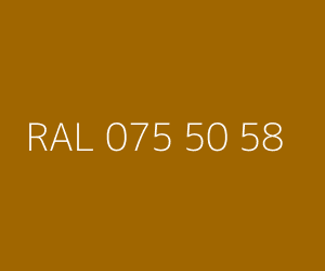 Renk RAL 075 50 58 
