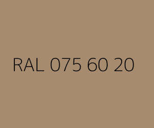 Renk RAL 075 60 20 