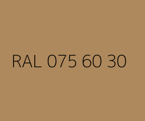 Renk RAL 075 60 30 