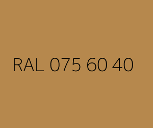 Renk RAL 075 60 40 