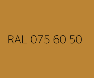 Renk RAL 075 60 50 