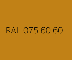 Renk RAL 075 60 60 