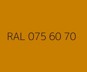 Renk RAL 075 60 70 
