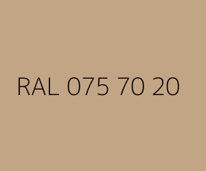 Renk RAL 075 70 20 