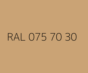 Renk RAL 075 70 30 