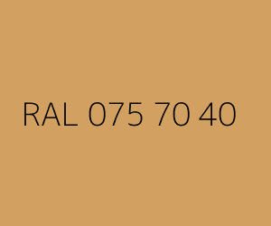 Renk RAL 075 70 40 