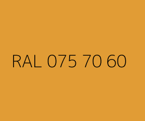 Renk RAL 075 70 60 