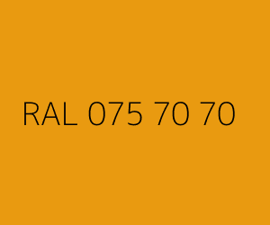Renk RAL 075 70 70 