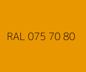 Renk RAL 075 70 80 