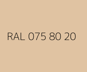 Renk RAL 075 80 20 