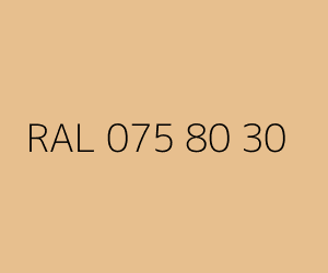 Renk RAL 075 80 30 