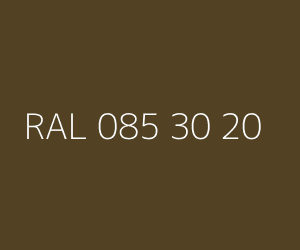 Renk RAL 085 30 20 