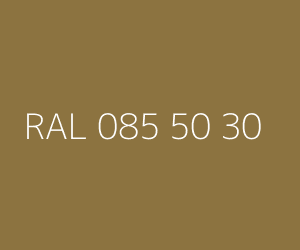 Renk RAL 085 50 30 