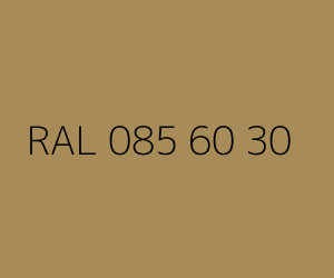 Renk RAL 085 60 30 