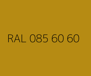 Renk RAL 085 60 60 