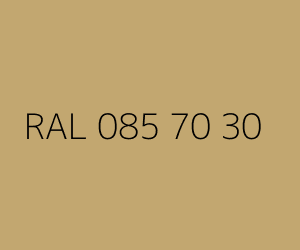 Renk RAL 085 70 30 