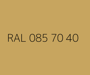 Renk RAL 085 70 40 