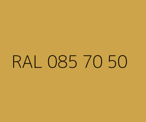 Renk RAL 085 70 50 