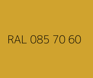 Renk RAL 085 70 60 