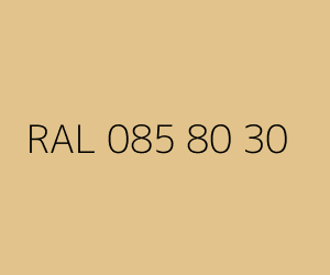 Renk RAL 085 80 30 