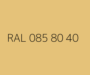 Renk RAL 085 80 40 