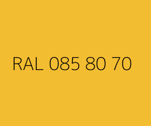 Renk RAL 085 80 70 