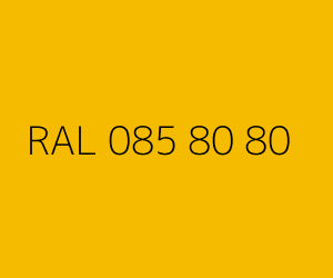 Renk RAL 085 80 80 