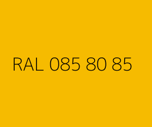 Renk RAL 085 80 85 